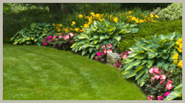 Sand Springs Lawn & Landscaping Services